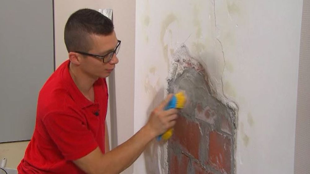 borstel plâtrer plâtrage