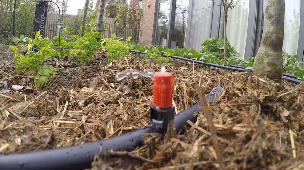beregening regenwaten gebruiken
